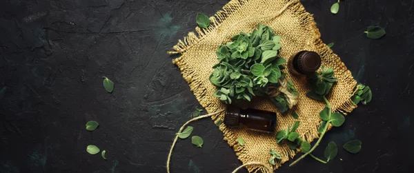 Essential Oregano Oil Glass Bottles Bunch Fresh Herbs Black Background — Stock Photo, Image