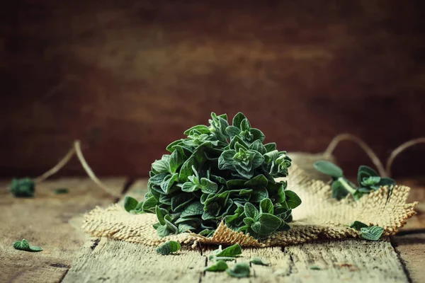 Orégano Verde Fresco Origanum Vulgare Feixe Fundo Madeira Vintage Foco — Fotografia de Stock