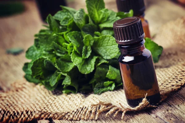 Essential Oil Peppermint Small Brown Bottle Fresh Green Mint Rustic — Stock Photo, Image