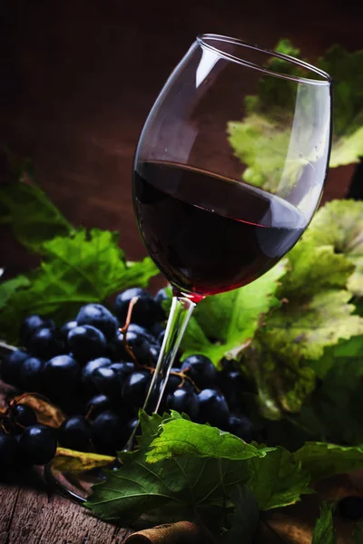 Red wine from grapes of cabernet sauvignon variety, still life in rustic style with berries and vine, vintage wooden background, selective focus