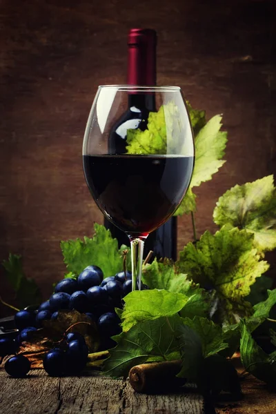 Red wine from grapes of cabernet sauvignon variety, still life in rustic style with berries and vine, vintage wooden background, selective focus