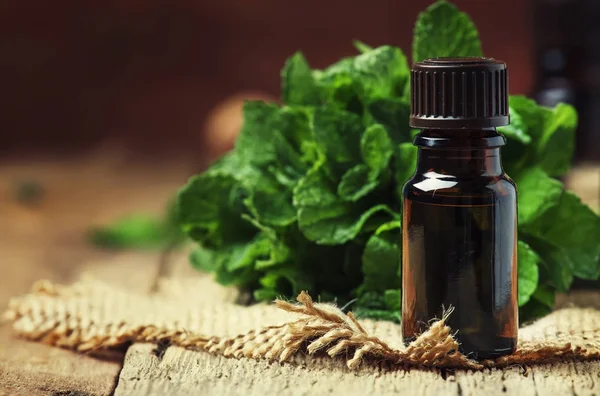 Aceite Esencial Menta Una Pequeña Botella Marrón Con Menta Verde — Foto de Stock