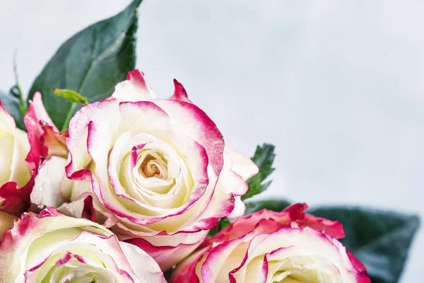 Festive Bouquet Red White Roses Valentines Day Card Selective Focus — Stock Photo, Image