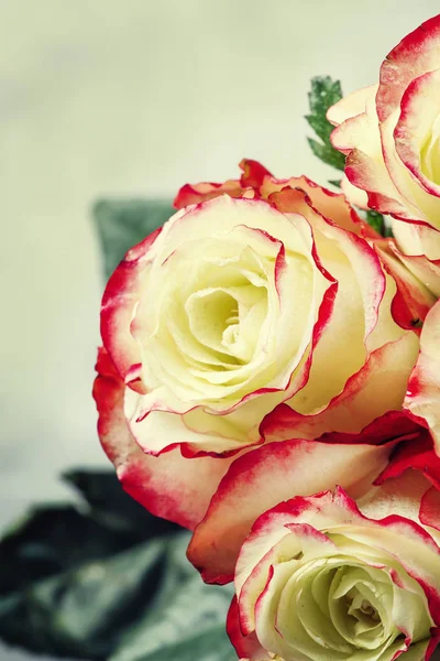 Festive Bouquet Red White Roses Valentines Day Card Selective Focus — Stock Photo, Image