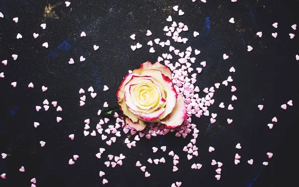 Tło Uroczysty Dla Walentynki Biała Róża Słodki Różowy Serca Widok — Zdjęcie stockowe
