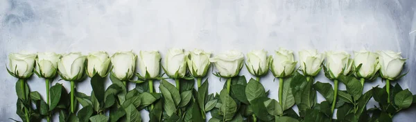 Frühling Weiße Rosen Grauer Hintergrund Draufsicht — Stockfoto