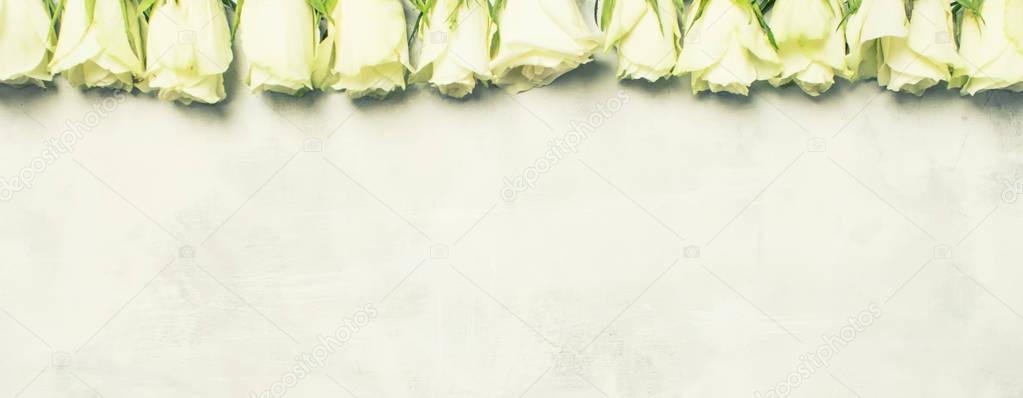 Spring white roses, gray background, top view
