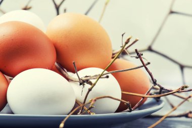 Tavuk yumurtası, gri arka plan, seçici odak ile Paskalya bahar kompozisyon