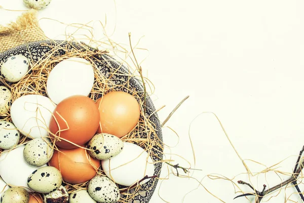 Çok Renkli Tavuk Bıldırcın Yumurta Saman Dalları Bahar Easter Kompozisyon — Stok fotoğraf