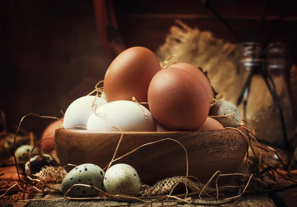 Renkli Tavuk Bıldırcın Yumurtası Rustik Tarzı Vintage Ahşap Arka Plan — Stok fotoğraf