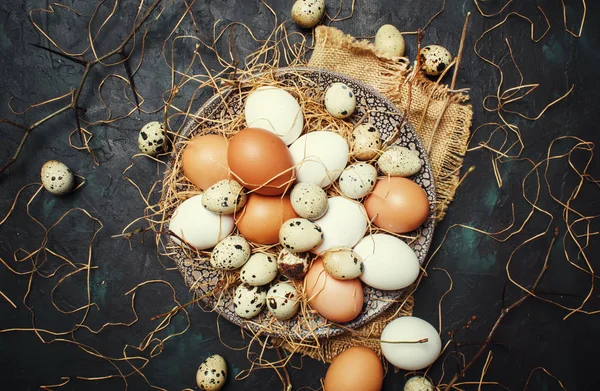 Çok Renkli Tavuk Bıldırcın Yumurta Saman Dalları Bahar Easter Kompozisyon — Stok fotoğraf