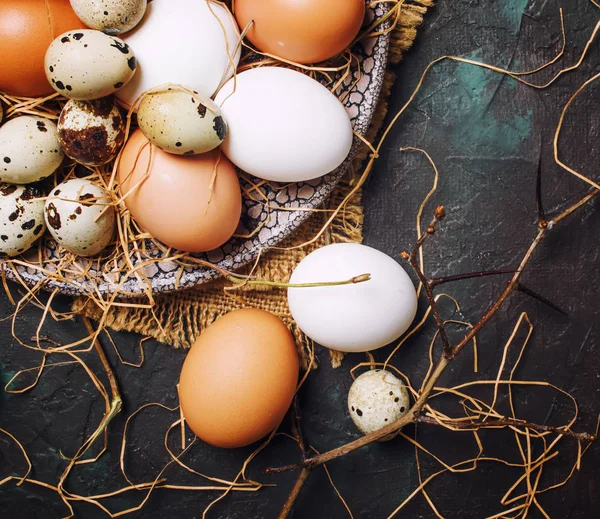 Çok Renkli Tavuk Bıldırcın Yumurta Saman Dalları Bahar Easter Kompozisyon — Stok fotoğraf