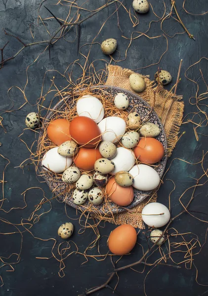 Çok Renkli Tavuk Bıldırcın Yumurta Saman Dalları Bahar Easter Kompozisyon — Stok fotoğraf