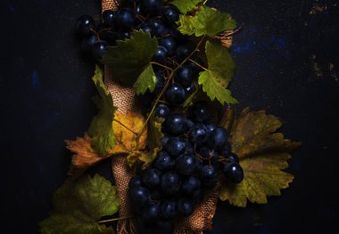 Yeşil yaprakları, üstten görünüm ile mavi üzüm