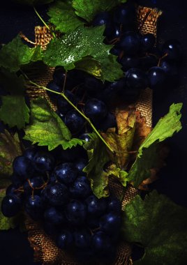 Yeşil yaprakları, üstten görünüm ile mavi üzüm