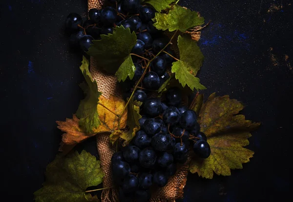 Yeşil yaprakları, üstten görünüm ile mavi üzüm