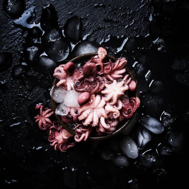 Küçük kırmızı ahtapot siyah arka planda, üstten görünüm