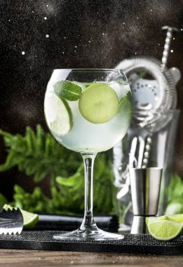 Beyaz vermut, prosecco, kireç, nane ve buz ile Martini royale alkollü kokteyl. Eski ahşap masa arka plan, bar araçları, seçici odak. Tüm isimler kokteyllere atıfta bulunur, ticari markalara değil