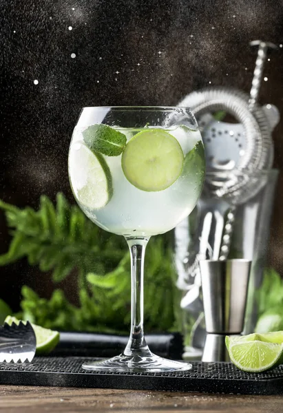 Martin Royale Alkoholischer Cocktail Mit Weißem Wermut Prosecco Limette Minze — Stockfoto