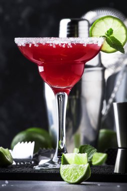 Karpuz margarita, gümüş tekila ile alkollü kokteyl, limon suyu, nane, karpuz ve ezilmiş buz, metal bar araçları, gri arka plan