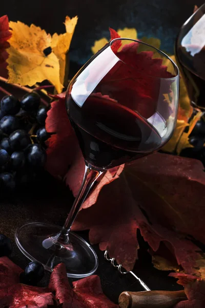 Trockener Rotwein Großen Weinglas Herbststillleben Mit Blättern Degustationskonzept Rustikaler Stil — Stockfoto