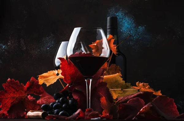 Dry Red Wine Big Wine Glass Autumn Still Life Leaves — Stock Photo, Image