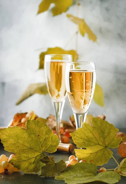 Champagne, brut or sparkling wine in glass on gray background. Autumn still life, wine tasting table setting concept