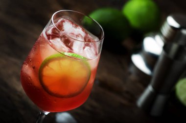 Kırmızı acı, tonik, limon ve buzlu Campari tonik kokteyli. Eski ahşap masa arkaplanı, bar araçları, seçici odaklanma. Boşluğu kopyala