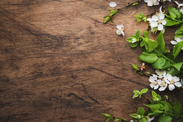 Våren Blommande Grenar Trä Bakgrund Vita Körsbär Blommor Ovanifrån Kopiera — Stockfoto