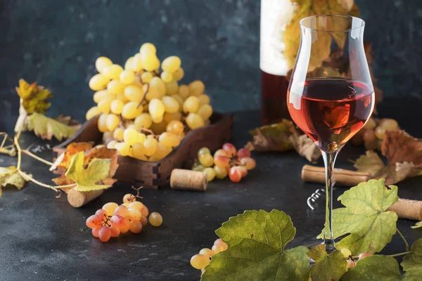 Rosa Rosa Copa Vino Concepto Degustación Vinos Fondo Gris Con —  Fotos de Stock