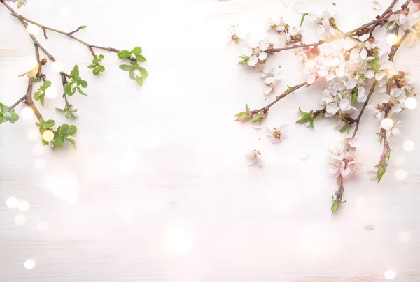 Fleurs Printanières Fleurs Abricot Sur Fond Blanc Bois Couché Plat — Photo