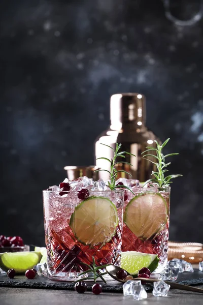 Glasses Cranberry Drink Cocktail Rosemary Cranberries Vodka Crushed Ice Grey — 스톡 사진
