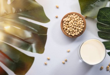 Mutfak arka planında soya sütü ve soya fasulyesi. Sütsüz süt konsepti. Vejetaryen içkisi. Sert ışık. Boşluğu kopyala
