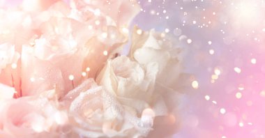 Natural floral banner background with pink roses and bokeh lights