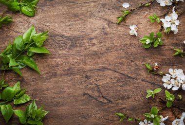 Tahta arka planda bahar çiçekleri açan dallar. Beyaz Kiraz çiçekleri üst görünüm, boşluğu kopyala