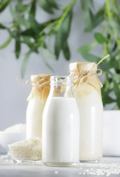 Vegetansk Risplante Basert Melk Flasker Tett Inntil Grå Bakgrunn Melk – stockfoto