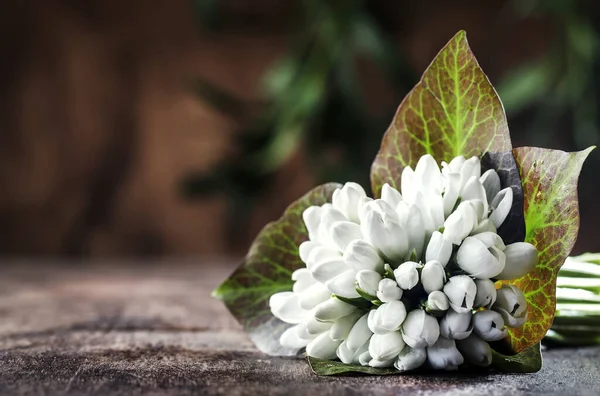 Vackra Vita Snödroppar Galanthus Nivalis Med Naturliga Bokeh Trä Bakgrund — Stockfoto