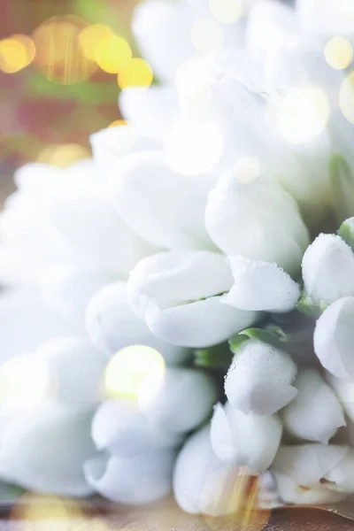 Bellissimi Bucaneve Bianchi Galanthus Nivalis Con Bokeh Naturale Sfondo Legno — Foto Stock