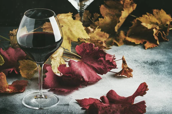 Trockener Rotwein Großen Glas Herbst Stillleben Mit Roten Und Gelben — Stockfoto