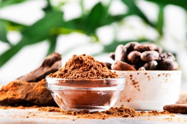 Organik kakao tozu, kakao çekirdeği, gri arka planda rendelenmiş kakao. Boşluğu kopyala