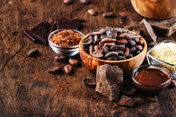 Diverse Biologische Cacaoproducten Cacaobonen Cacaopoeder Cacaoboter Pure Chocolade Vloeibare Chocolade — Stockfoto