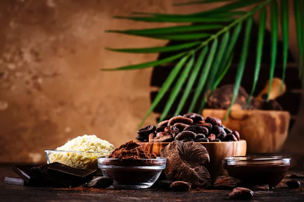 Різні Органічні Продукти Какао Какао Боби Какао Порошок Какао Масло — стокове фото