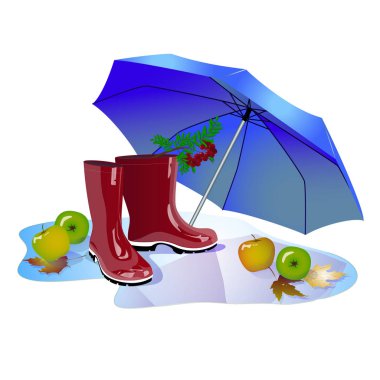 Şemsiye, lastik çizme, Sonbahar, su birikintisi