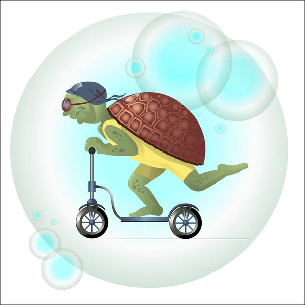 Komik kaplumbağa bir scooter rides