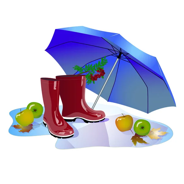 Şemsiye, lastik çizme, Sonbahar, su birikintisi