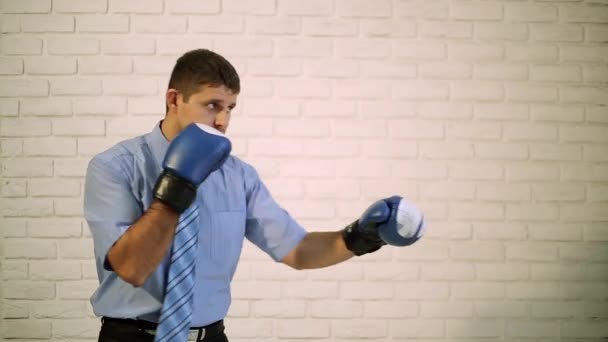 Boxing man in a shirt and tie. Businessman with boxing gloves.  Manager, office employee in boxing gloves.  Man in boxing gloves on a light background. — Stock Video