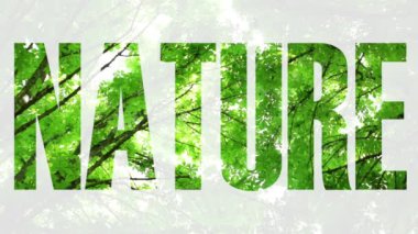 Doğa, ekoloji, çevre. Ağaçlar ve gökyüzü.