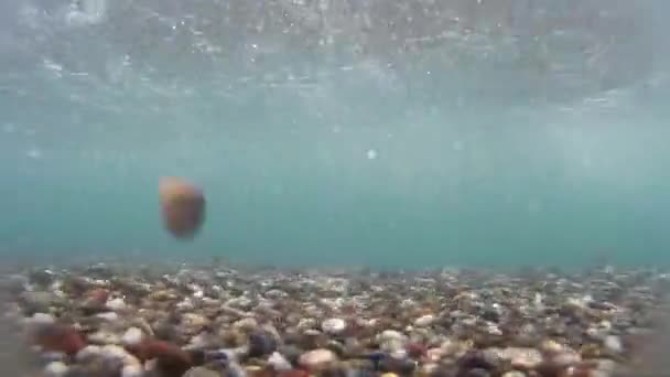 波滚到海滩上。海浪和海底。海底世界、 大浪、 蔚蓝的大海. — 图库视频影像