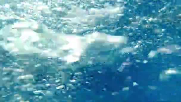 물 속에서의 거품 아름 다운 물 배경입니다. 수영장에서 물 속에서 공기의 거품. — 비디오