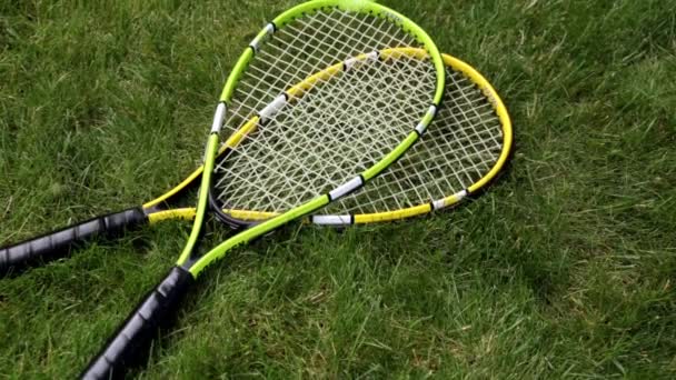 Navetta e racchetta badminton su erba verde . — Video Stock